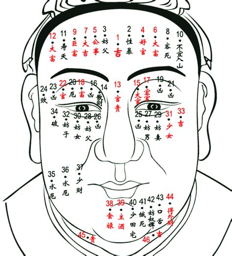 耳輪有痣|左耳痣vs右耳痣：命運大不同